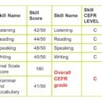 candidate report